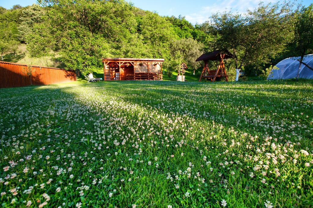 Pensiunea Dor De Casa Pestenita Dış mekan fotoğraf